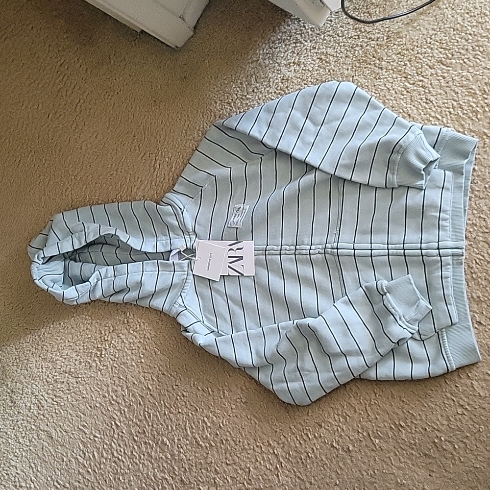 Zara hoodie